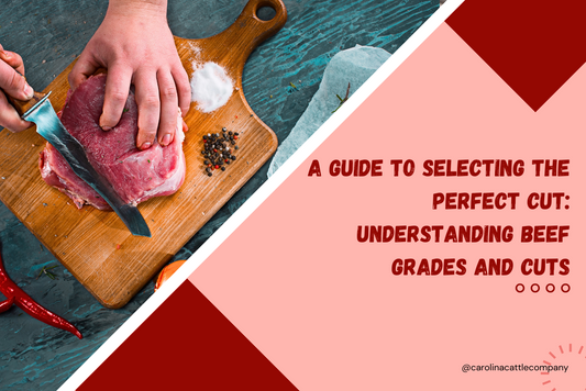 A Guide to Selecting the Perfect Cut: Understanding Beef Grades and Cuts